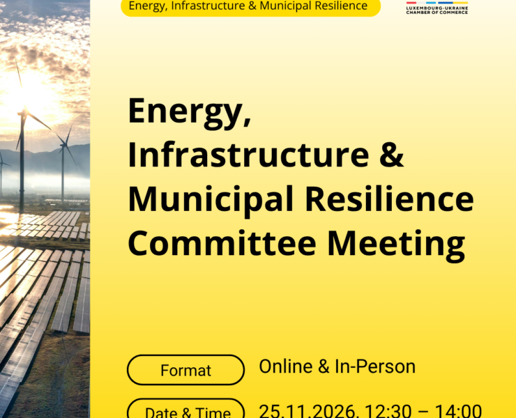Energy, Infrastructure & Municipal Resilience Committee Meeting 25.11.2026